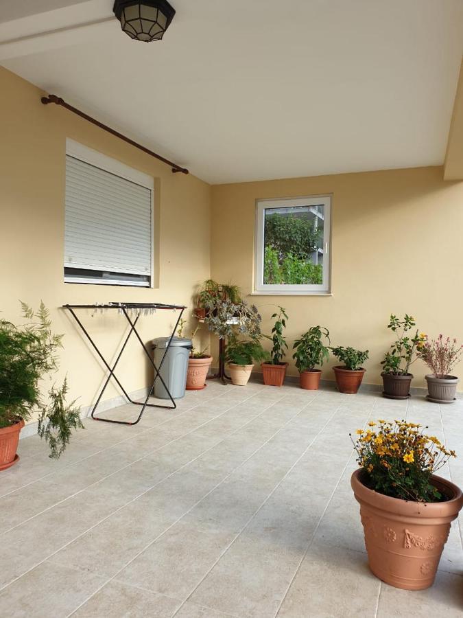 Apartment Jelena Kotor Eksteriør billede
