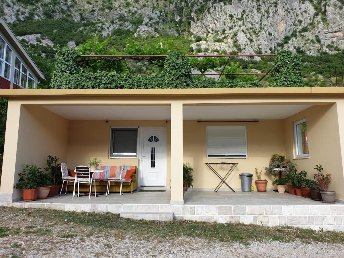 Apartment Jelena Kotor Eksteriør billede