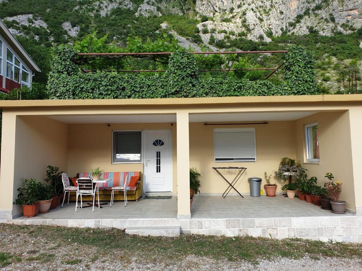 Apartment Jelena Kotor Eksteriør billede