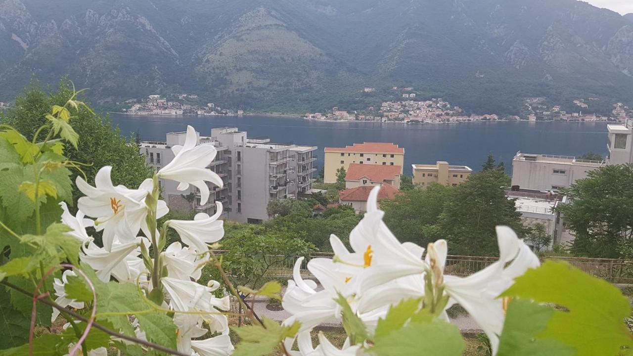 Apartment Jelena Kotor Eksteriør billede